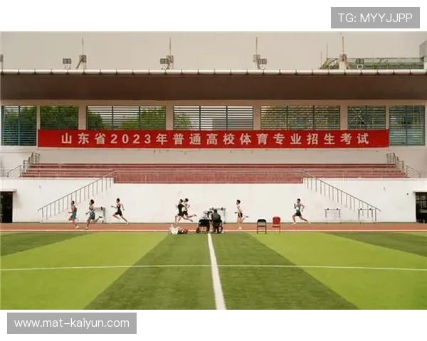 青少年体育平台通过无纸化流程压缩审核时间，提高选材效率